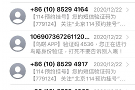 临邑为什么选择专业追讨公司来处理您的债务纠纷？